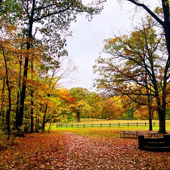 Meet your Posher, Maria - Picture 8 of 8